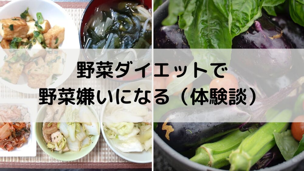 野菜ダイエット　体験談
